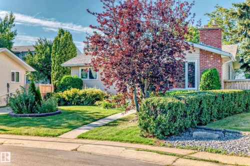 17719 84 Avenue  Edmonton, AB T5T 0N5