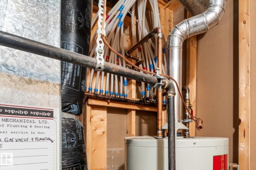 813 Proctor Wynd, Edmonton, AB - Indoor Photo Showing Basement