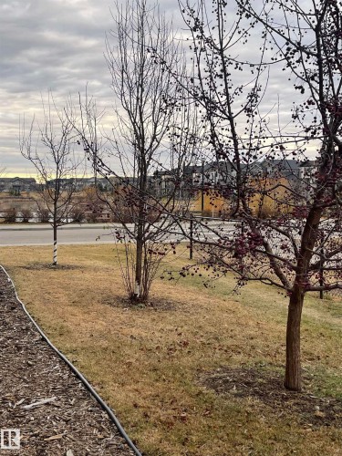 64 17832 78 Street, Edmonton, AB - Outdoor With View