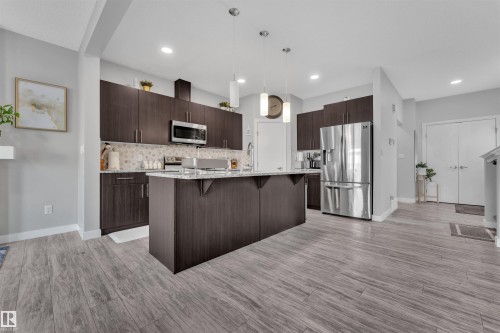 252 39 Avenue, Edmonton, AB - Indoor Photo Showing Kitchen With Stainless Steel Kitchen With Upgraded Kitchen