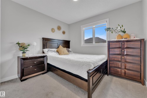 252 39 Avenue, Edmonton, AB - Indoor Photo Showing Bedroom