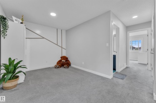 252 39 Avenue, Edmonton, AB - Indoor Photo Showing Other Room