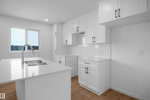 124 1009 Cy Becker Road, Edmonton, AB - Indoor Photo Showing Kitchen With Double Sink