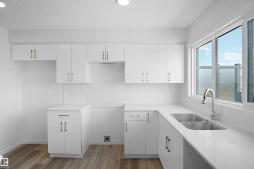 100 3705 141 Street, Edmonton, AB - Indoor Photo Showing Kitchen With Double Sink