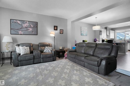 5050 Andison Close, Edmonton, AB - Indoor Photo Showing Living Room