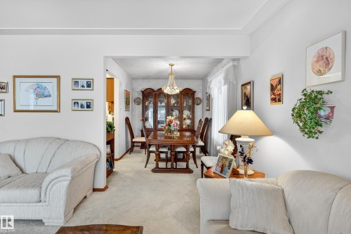 5607 97 Avenue, Edmonton, AB - Indoor Photo Showing Living Room