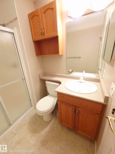 322 237 Youville Drive E, Edmonton, AB - Indoor Photo Showing Bathroom