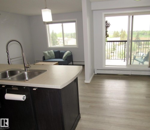 453 1196 Hyndman Road Nw, Edmonton, AB - Indoor Photo Showing Kitchen With Double Sink
