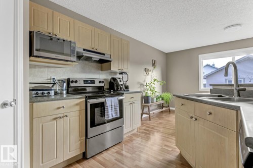 2341 29A Avenue, Edmonton, AB - Indoor Photo Showing Kitchen With Double Sink