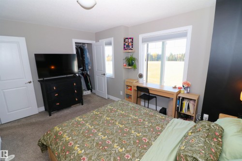 29 1508 105 Street, Edmonton, AB - Indoor Photo Showing Bedroom