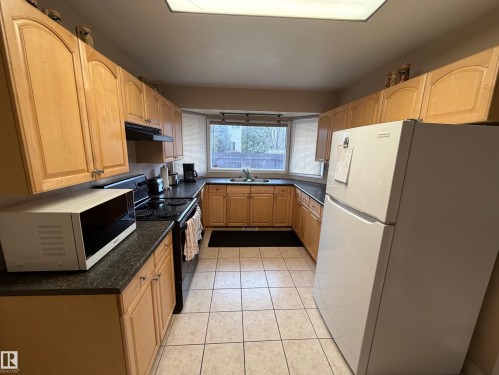 3841 62 Street Nw, Edmonton, AB - Indoor Photo Showing Kitchen With Double Sink
