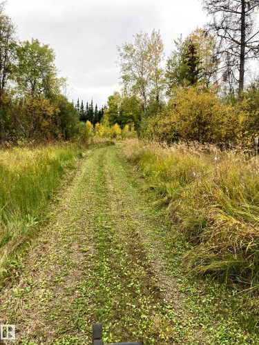 673001A Rge Road 215, Rural Athabasca County, AB - Outdoor With View