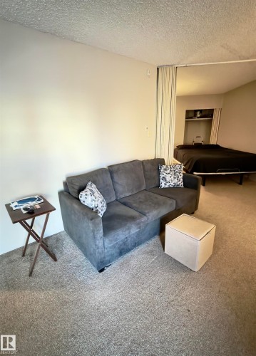 22 11265 31 Avenue, Edmonton, AB - Indoor Photo Showing Living Room