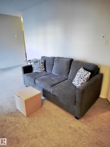 22 11265 31 Avenue, Edmonton, AB - Indoor Photo Showing Living Room