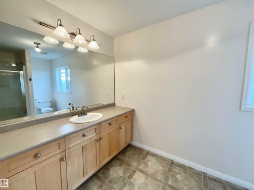 1248 Ormsby Lane, Edmonton, AB - Indoor Photo Showing Bathroom