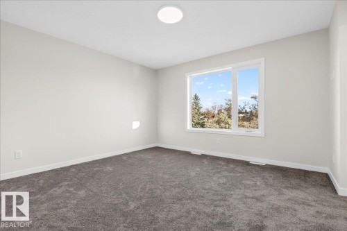 10506 162 Street, Edmonton, AB - Indoor Photo Showing Other Room