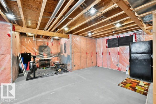 51 Nicola Road, St. Albert, AB - Indoor Photo Showing Basement