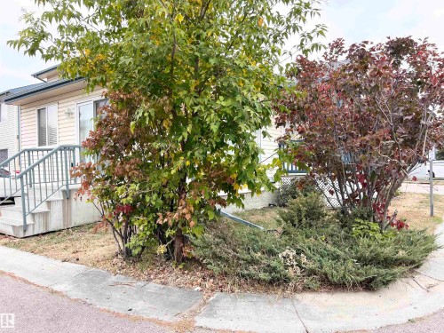 19 10909 106 Street, Edmonton, AB - Outdoor