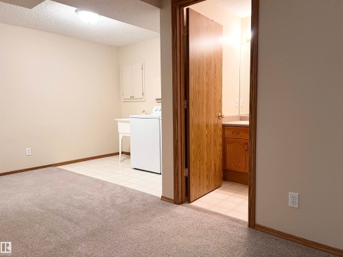 19 10909 106 Street, Edmonton, AB - Indoor Photo Showing Laundry Room
