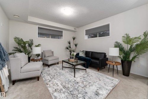 22 6520 2 Avenue, Edmonton, AB - Indoor Photo Showing Living Room