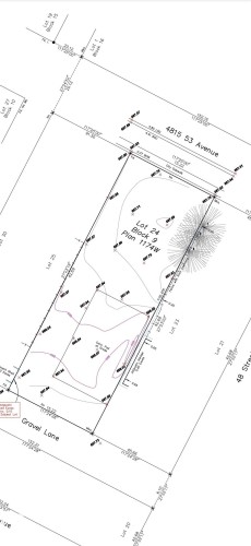 Survey map / technical document - 4815 53 Avenue, Viking, AB 