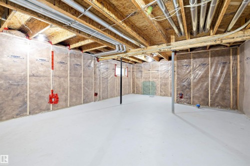 21975 91 Avenue, Edmonton, AB - Indoor Photo Showing Basement