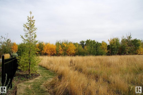 7506 May Common, Edmonton, AB - Outdoor With View