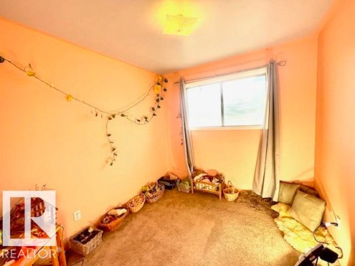 4723 103 Avenue, Edmonton, AB - Indoor Photo Showing Other Room