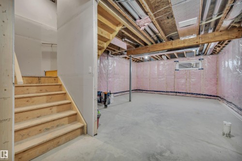 3323 Erlanger Bend, Edmonton, AB - Indoor Photo Showing Basement