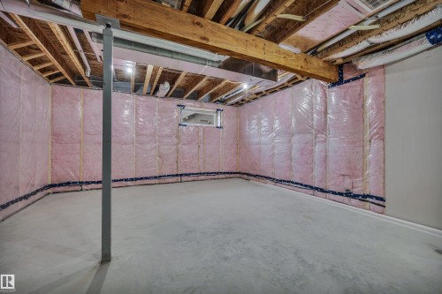 3323 Erlanger Bend, Edmonton, AB - Indoor Photo Showing Basement