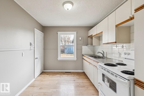 12127 107 Street, Edmonton, AB - Indoor Photo Showing Kitchen With Double Sink