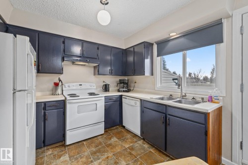 11960 145 Avenue, Edmonton, AB - Indoor Photo Showing Kitchen With Double Sink