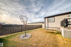 View of fenced backyard - 