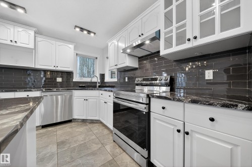 10916 175 Avenue, Edmonton, AB - Indoor Photo Showing Kitchen With Upgraded Kitchen