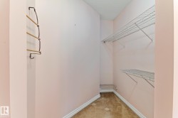 Spacious closet with light carpet - 