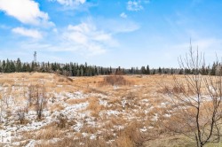 View of undeveloped land featuring rural landscape - 
