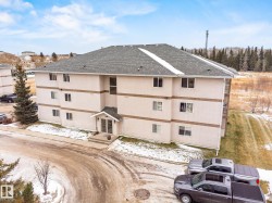 View of snow covered building - 