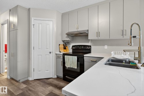 3811 Mclean Close, Edmonton, AB - Indoor Photo Showing Kitchen With Double Sink