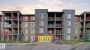 335 3315 James Mowatt Trail, Edmonton, AB  - Outdoor With Balcony With Facade 