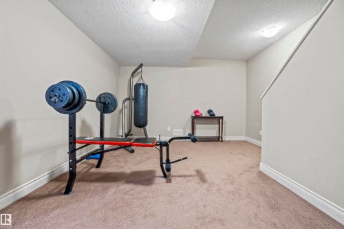 753 173B Street, Edmonton, AB - Indoor Photo Showing Gym Room