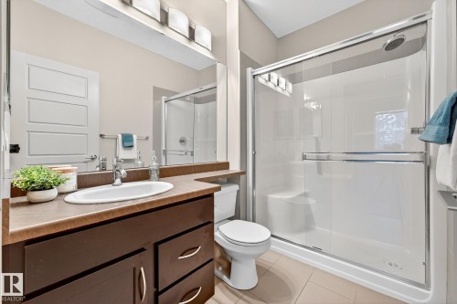 247 308 Ambleside Link, Edmonton, AB - Indoor Photo Showing Bathroom