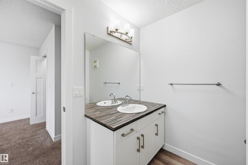 3607 Atkinson Loop, Edmonton, AB - Indoor Photo Showing Bathroom