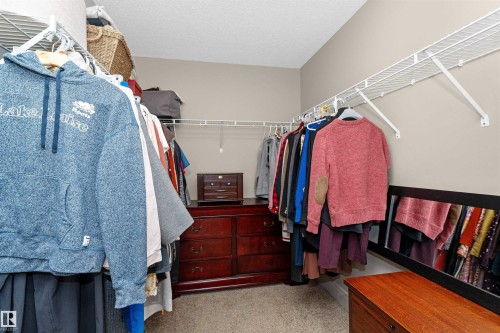 3856 Agar Green, Edmonton, AB - Indoor With Storage