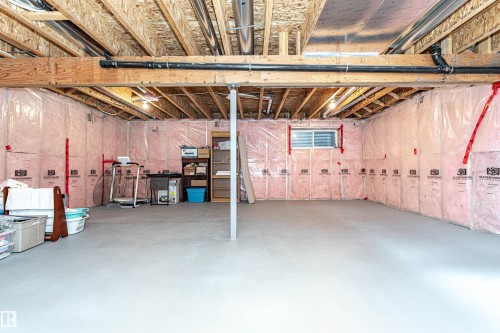 3856 Agar Green, Edmonton, AB - Indoor Photo Showing Basement