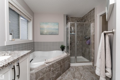 9715 205 Street, Edmonton, AB - Indoor Photo Showing Bathroom