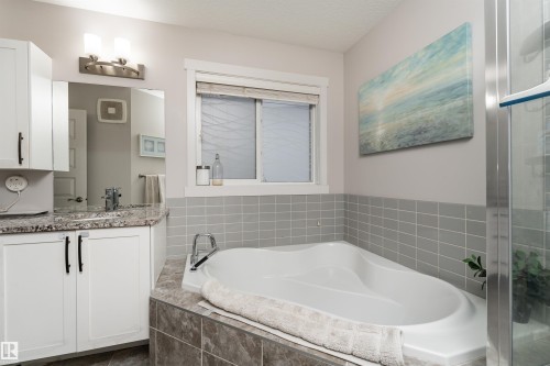 9715 205 Street, Edmonton, AB - Indoor Photo Showing Bathroom