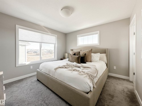 13 13139 205 Street, Edmonton, AB - Indoor Photo Showing Bedroom