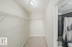 Spacious closet with light colored carpet - 