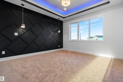 Spare room with a raised ceiling, an accent wall, and light carpet - 
