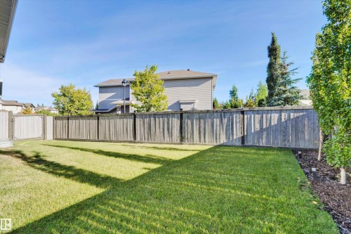 17437 5A Avenue, Edmonton, AB - Outdoor With Backyard
